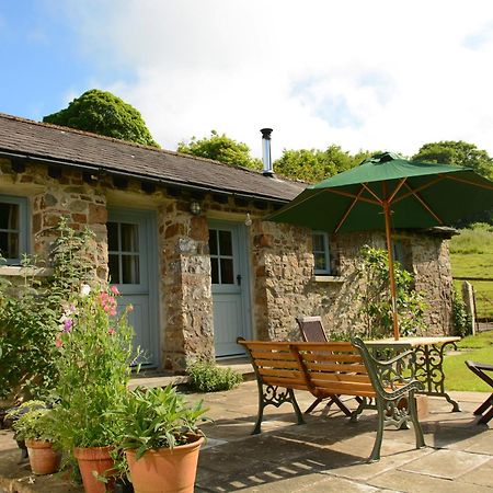 Dandelion Cottage, Amroth Extérieur photo